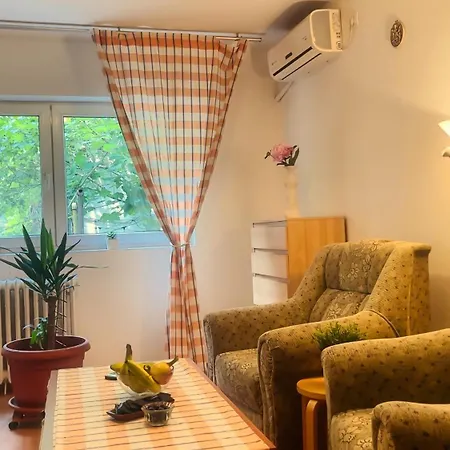 Daire Aviatiei Vintage Charm With Ac Bükreş