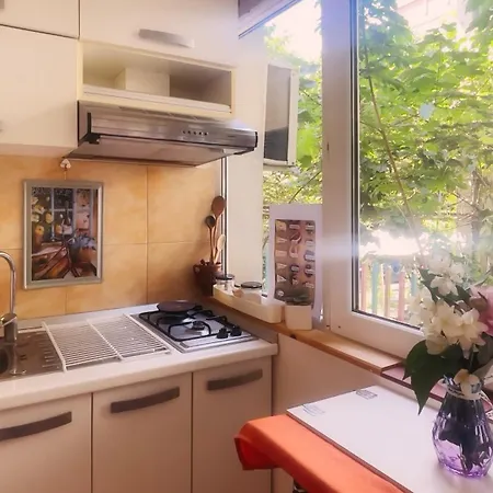 Aviatiei Vintage Charm With Ac Апартаменты