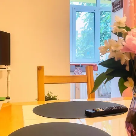 Aviatiei Vintage Charm With Ac *