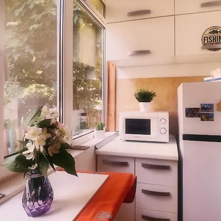 Aviatiei Vintage Charm With Ac *