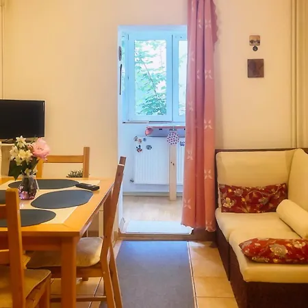 Aviatiei Vintage Charm With Ac * Bukarest