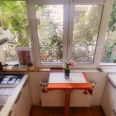 Aviatiei Vintage Charm With Ac Appartement