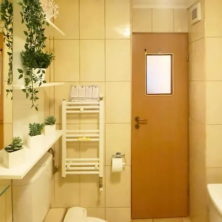 Aviatiei Vintage Charm With Ac Bükreş