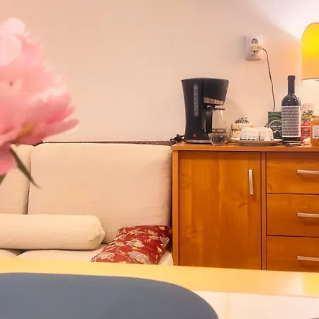 Aviatiei Vintage Charm With Ac Apartment Bukarest