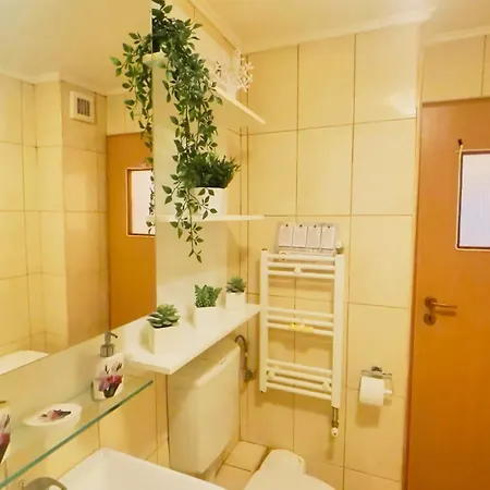 Aviatiei Vintage Charm With Ac *