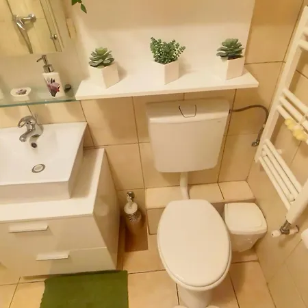 Aviatiei Vintage Charm With Ac Bukarest