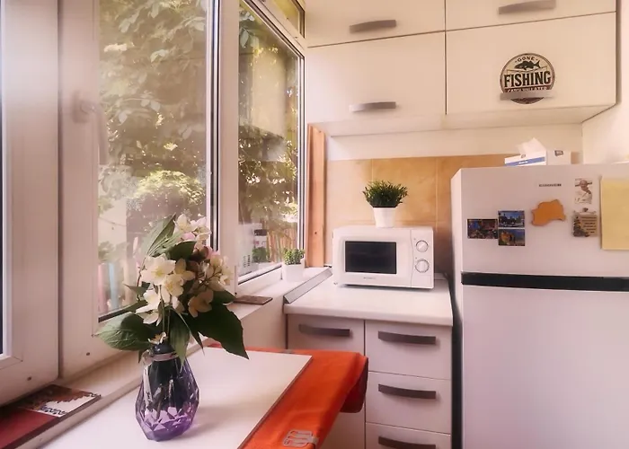 Aviatiei Vintage Charm With Ac *