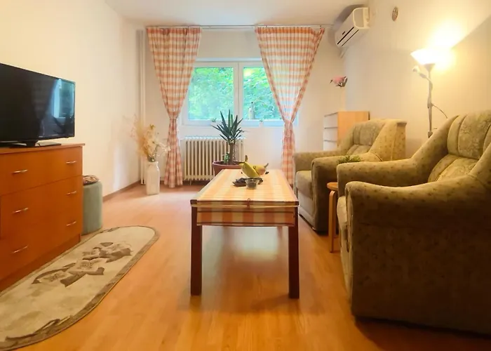 Apartmán Aviatiei Vintage Charm With Ac *