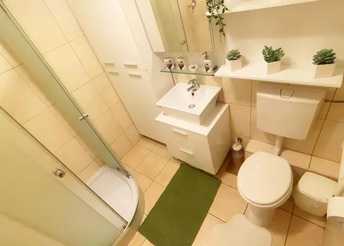 Aviatiei Vintage Charm With Ac * Bukurešť