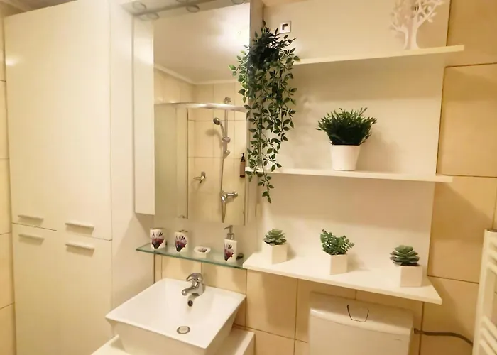 Aviatiei Vintage Charm With Ac *